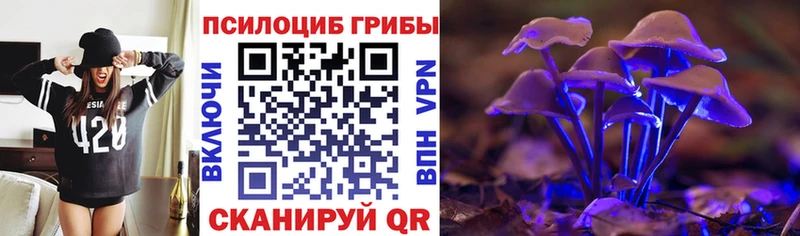 это телеграм  Сочи  Псилоцибиновые грибы Psilocybine cubensis 