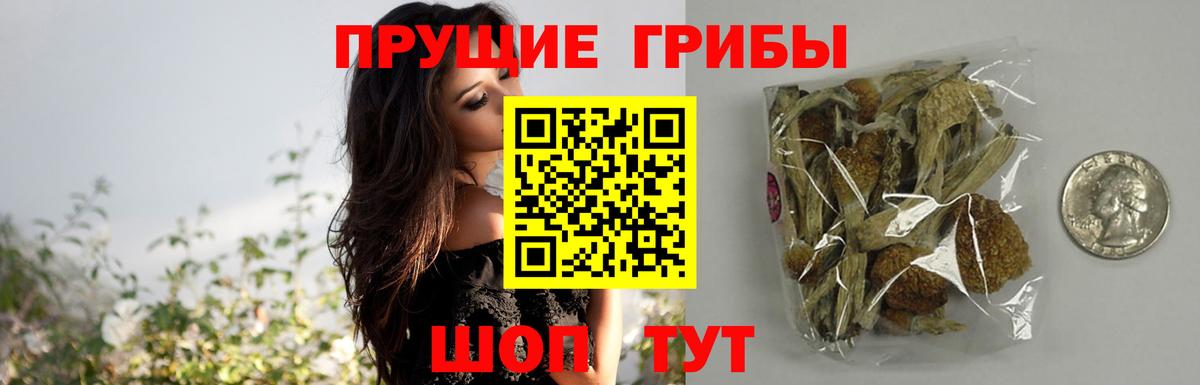 Псилоцибиновые грибы Psilocybine cubensis  Вход с VPN  Сочи 