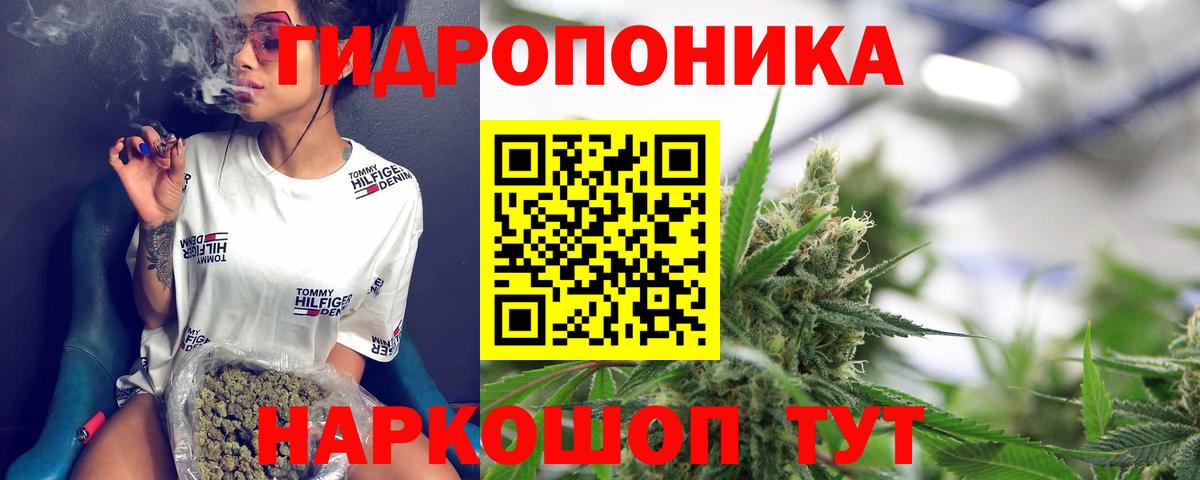 Конопля OG Kush Сочи