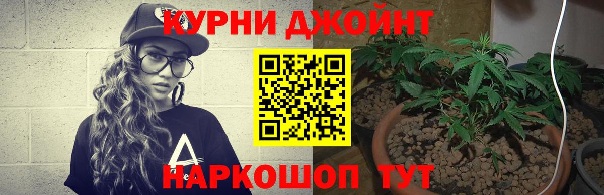 Бошки Шишки конопля  Конопля сатива  Сочи  МАРИХУАНА тримм  Вход с VPN 